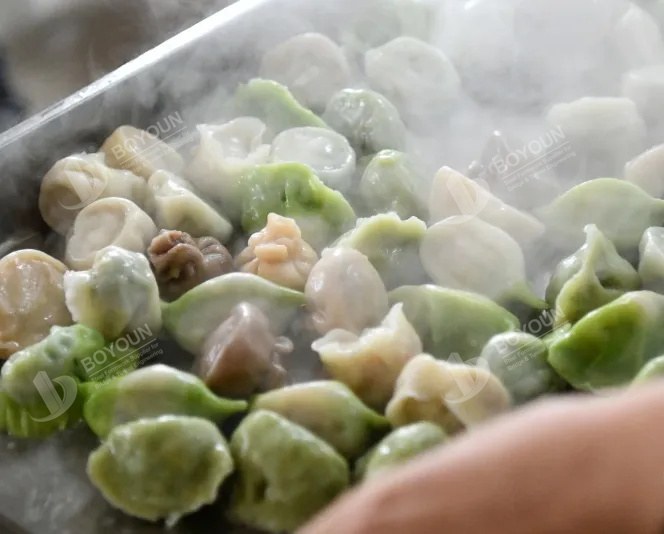 نشاط الانقلاب الشتوي