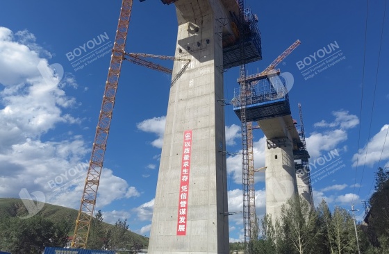 High Bridge Pier Technical Characteristics and Construction Applications (باللغة الإنجليزية)